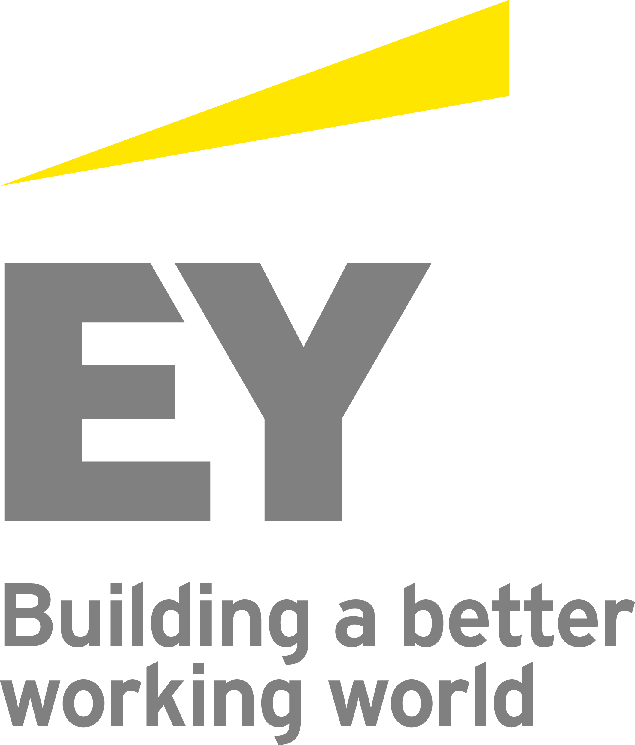 Ernst & Young Welcomes Regional Transaction Advisory Services Team
